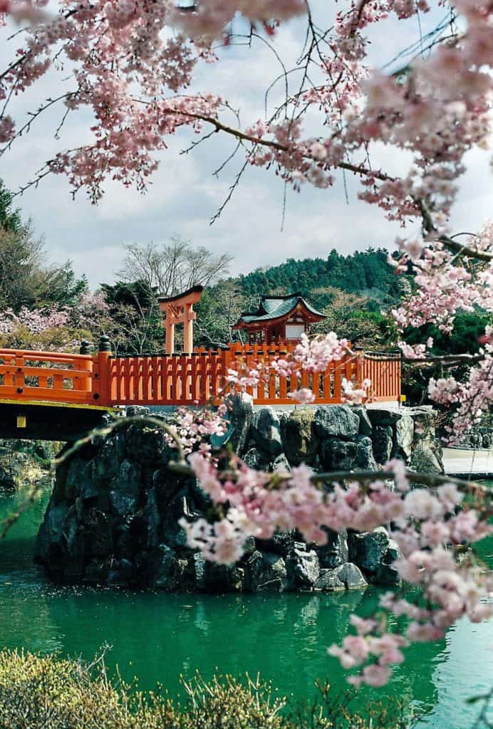 1 day trip in osaka - a photo of a red wooden bridge in a garden taken during spring season in Osaka