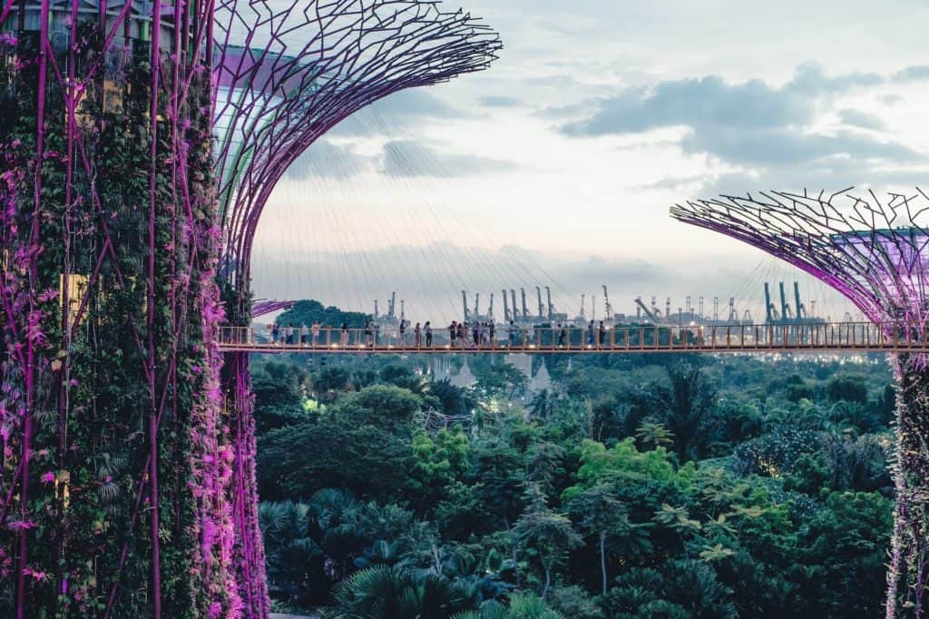 5 days singapore itinerary - OCBC Skyway at Gardens by The Bay