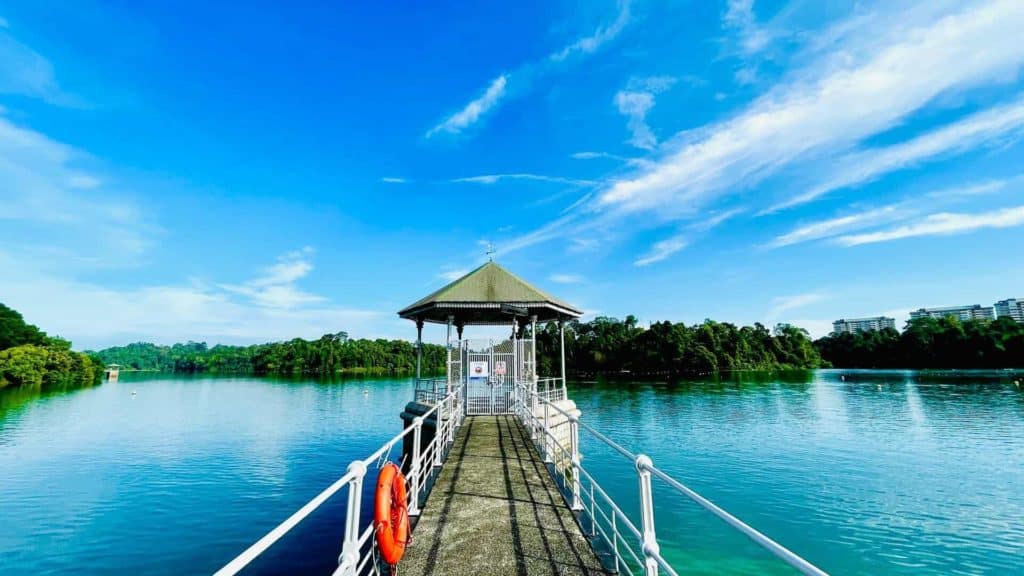 singapore 5 day itinerary - MacRitchie Reservoir Park