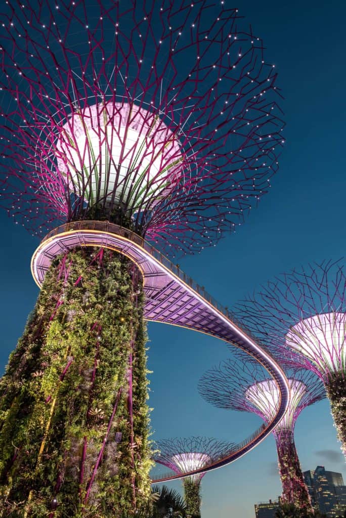 things to do in singapore at night gardens by the bay