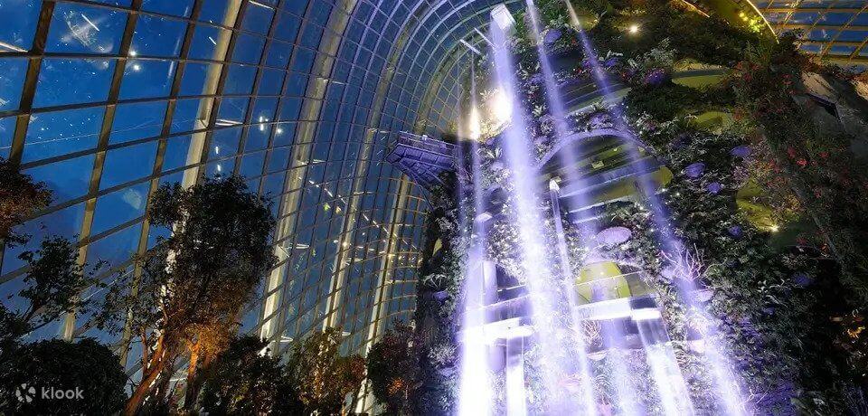 what to do in singapore at night cloud forest