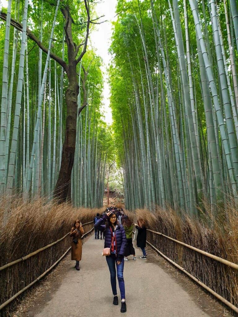 Arashiyama kyoto photo - my friend is standing in the middle of the Arashiyama Bamboo Forest in Kyoto