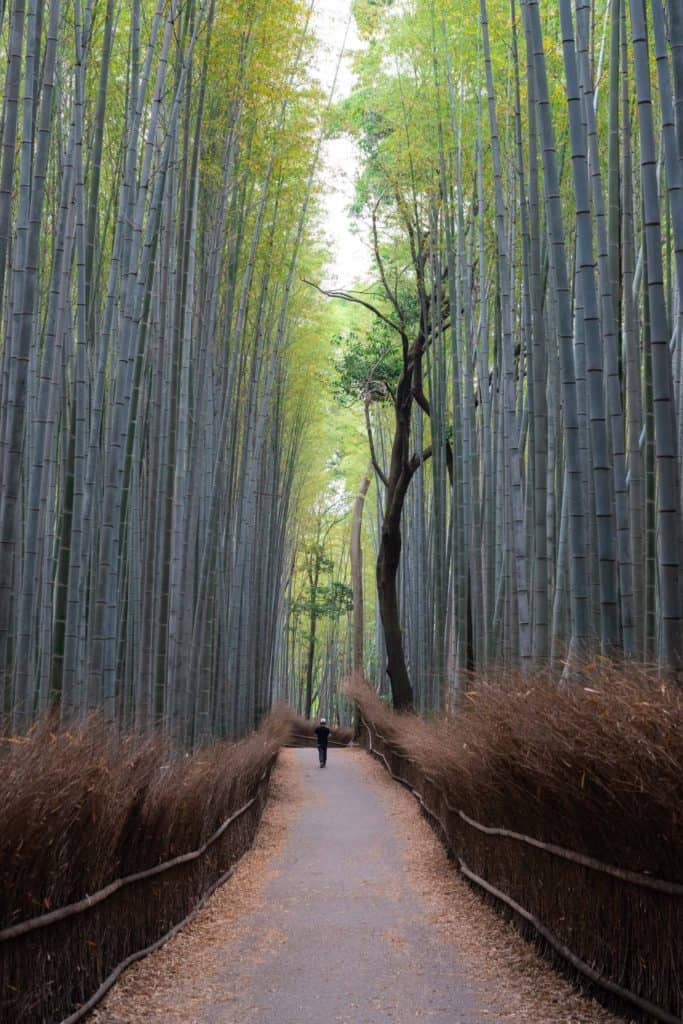 instagrammable places in kyoto 