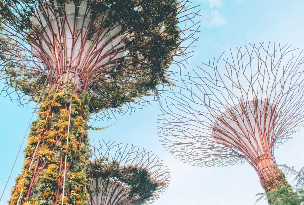 most instagrammable places in singapore