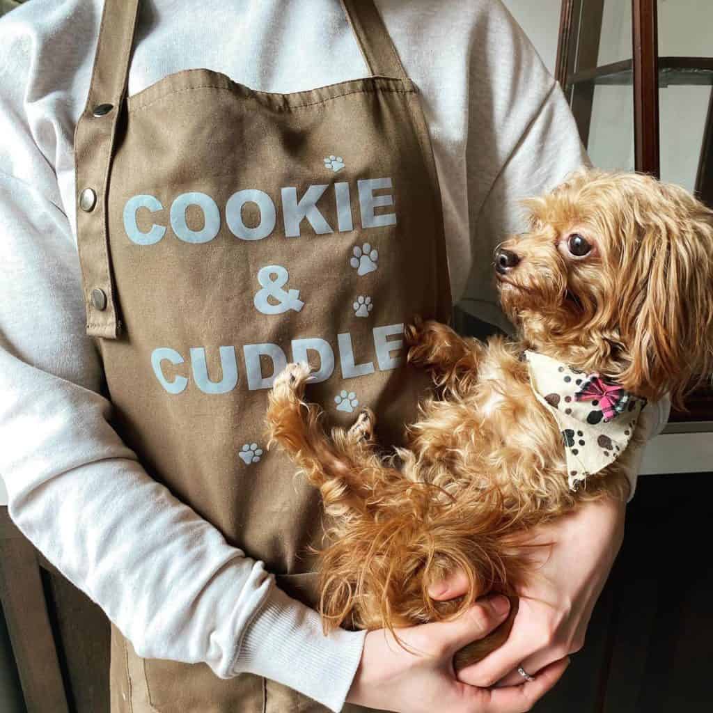 dog cafe singapore - cookie & cuddle