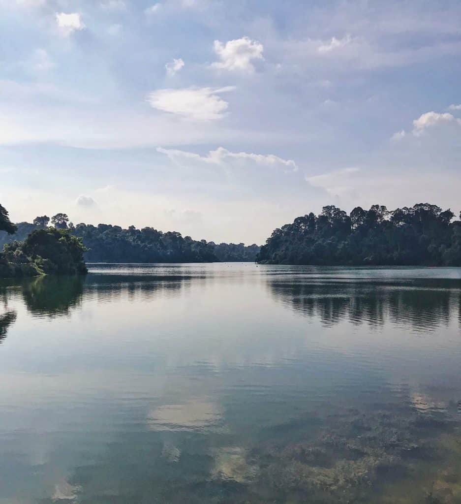 what to do alone in singapore - hiking