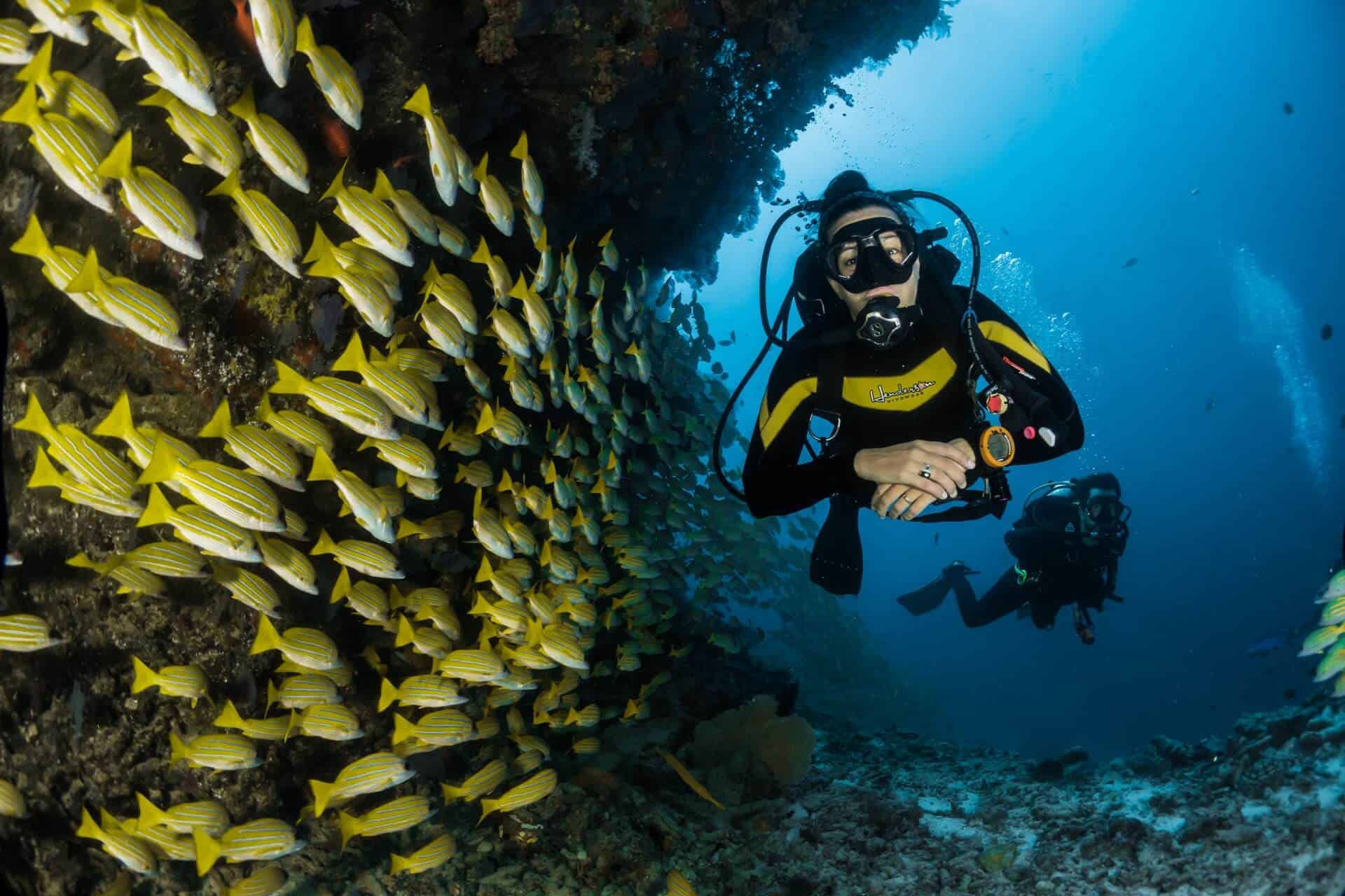 33 Crucial Scuba Diving Tips For Beginners (For A Pleasant Dive!)