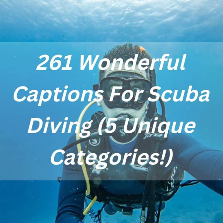 261 Wonderful Captions For Scuba Diving (5 Unique Categories!)
