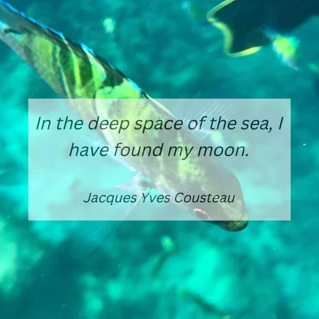 captions for scuba diving - Jacques Yves Cousteau's quote