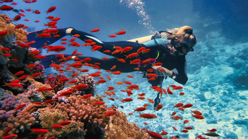 is it necessary to know swimming for scuba diving - a diver is surrounded by red fishes while diving