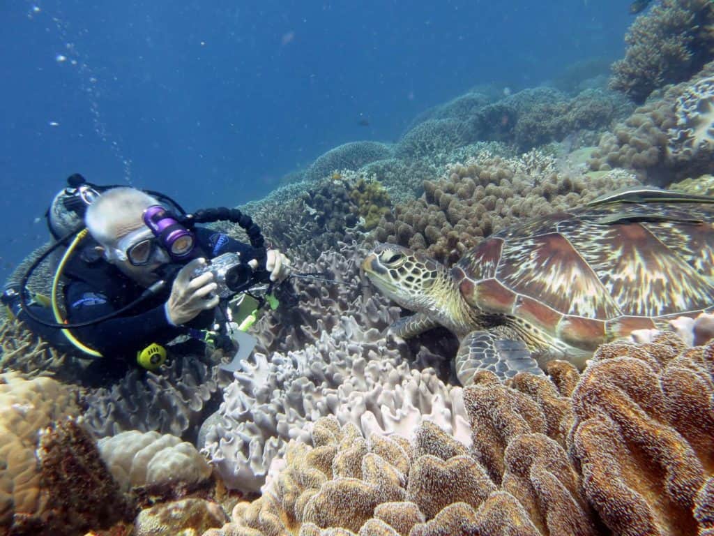 scuba diving captions instagram - a diver is getting a close up shot of a turtle in the sea