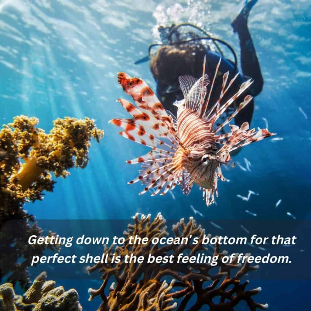 underwater captions - a lady diver is diving close to the marine creatures