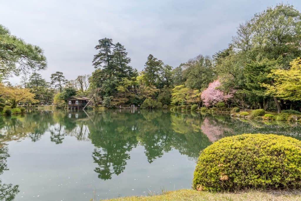 ryokan kanazawa - the pond with beautiful plants and trees at Kenrokuen in Kanazawa