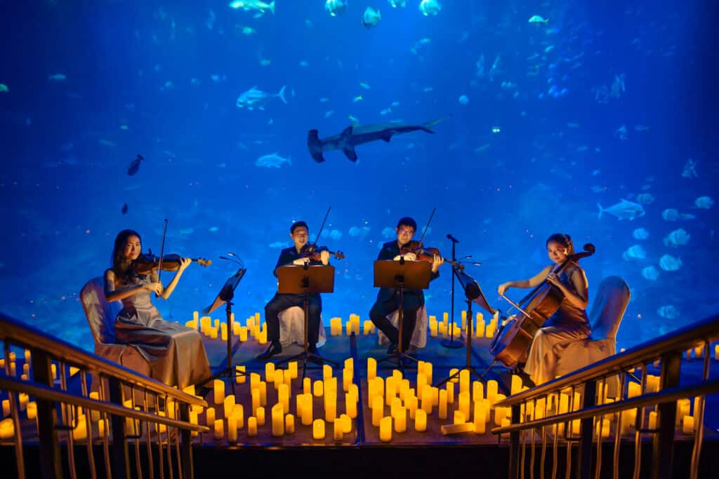 romantic dates singapore - 4 performers playing their instruments at S.E.A Aquarium while surrounded by candlelight