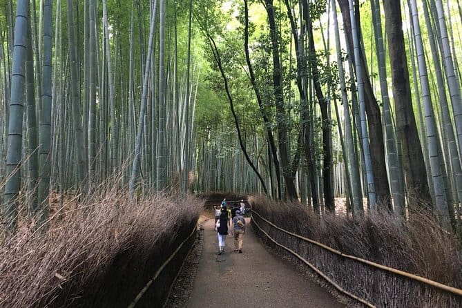KYOTO FOOD TOURS - 2 PEOPLE WALKING ON THE LANE AT ARASHIYAMA BAMBOO FOREST