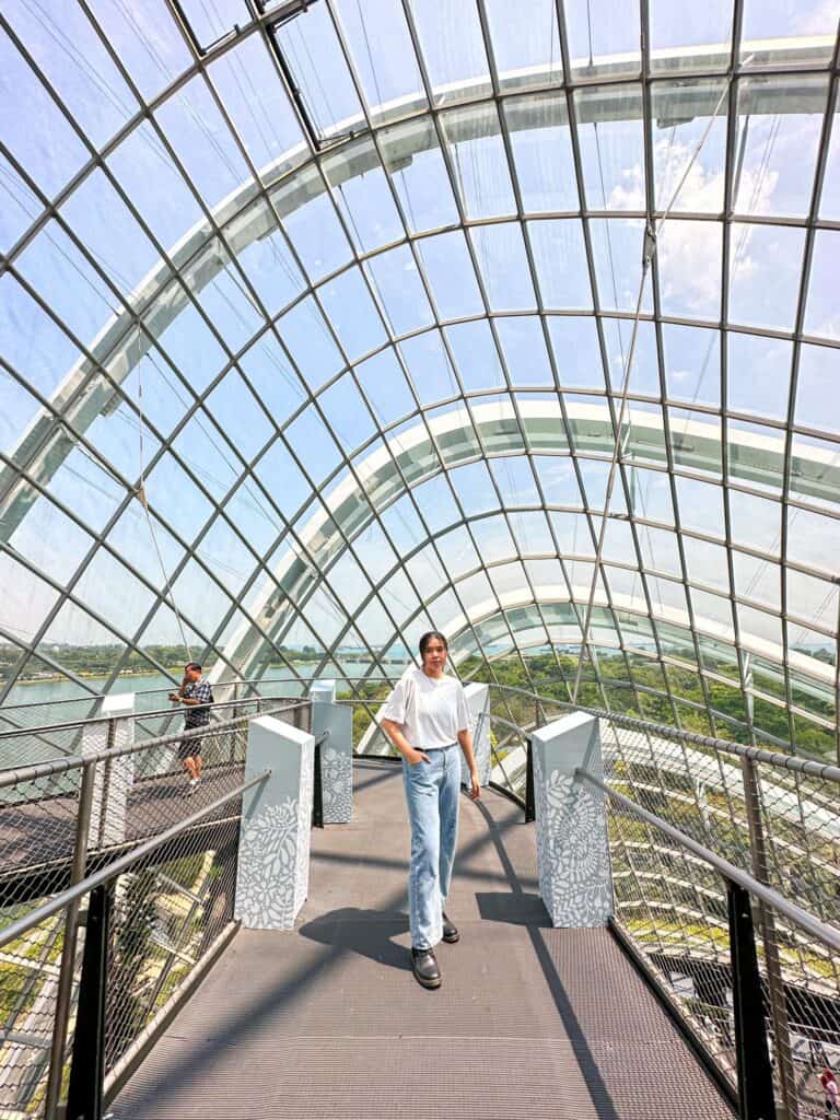 things to do alone in singapore - Cloud Forest Singapore