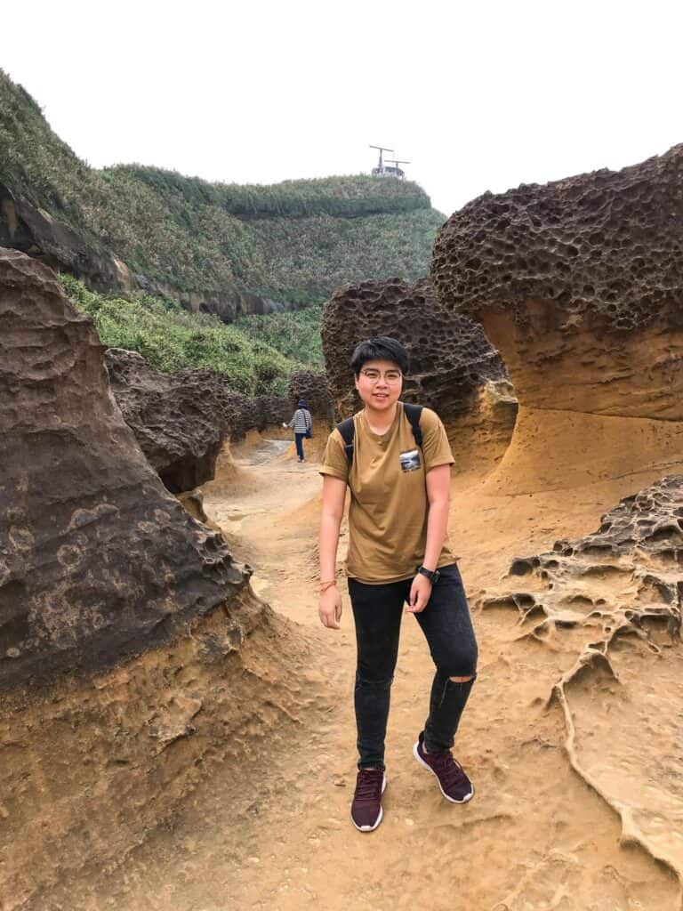 Sam Lee Travel - Taiwan (Me posing among the beautiful brown rocks in Yehliu Geopark, Taiwan)