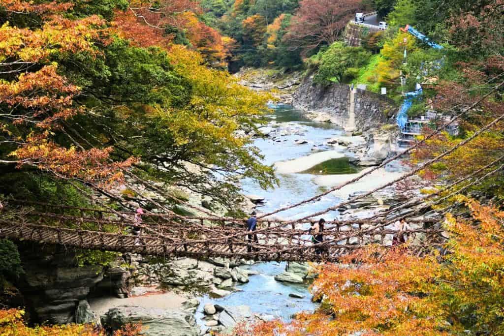 autumn in japan - people corssing the Kazurabashi Vine Bridge in Iya Valley