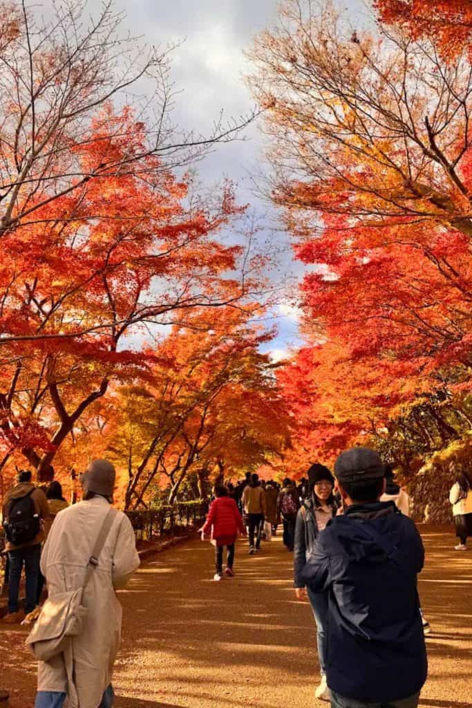 what to wear in osaka in autumn